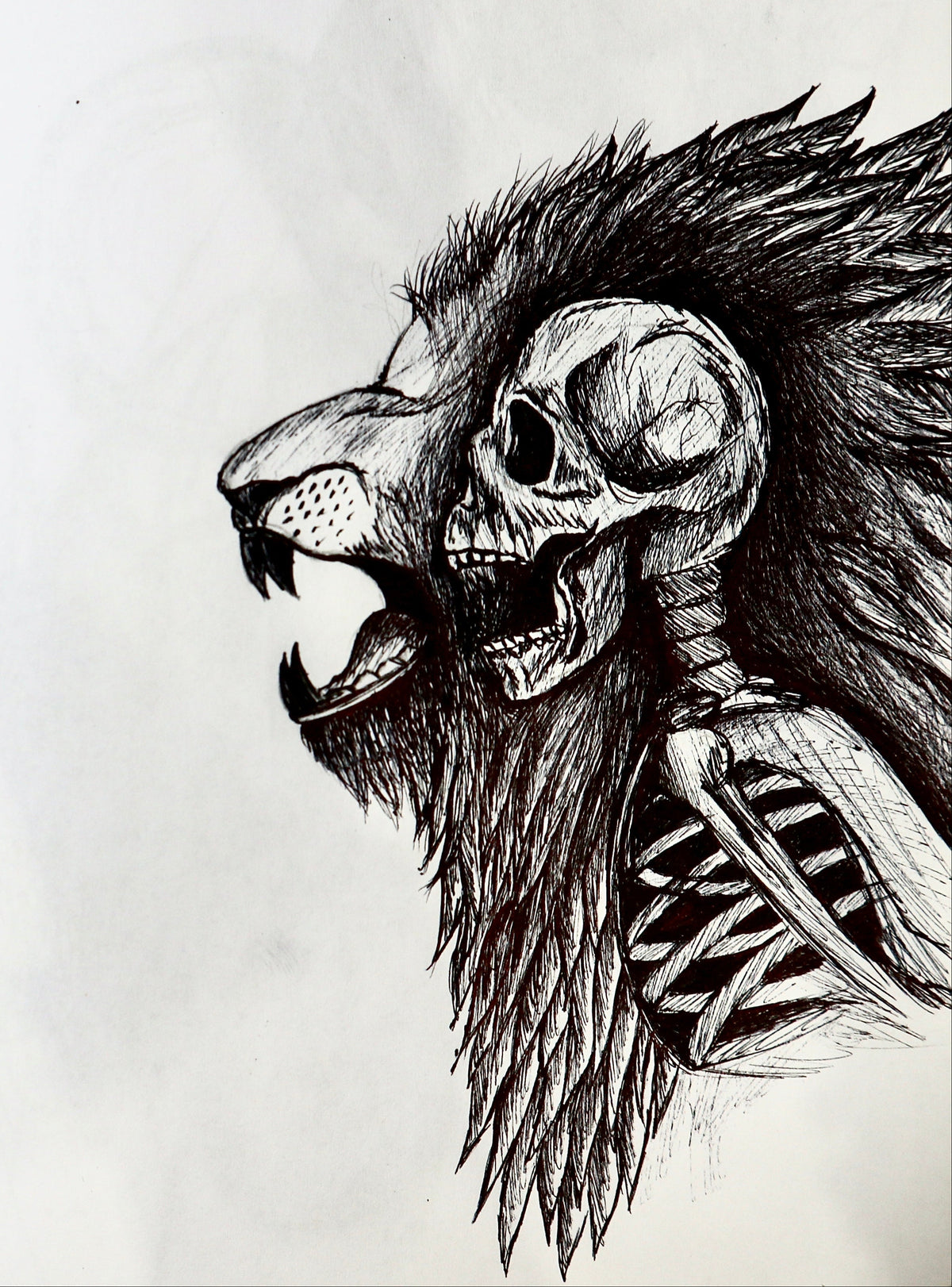 Two Beasts, One Page — Sketchbook Study