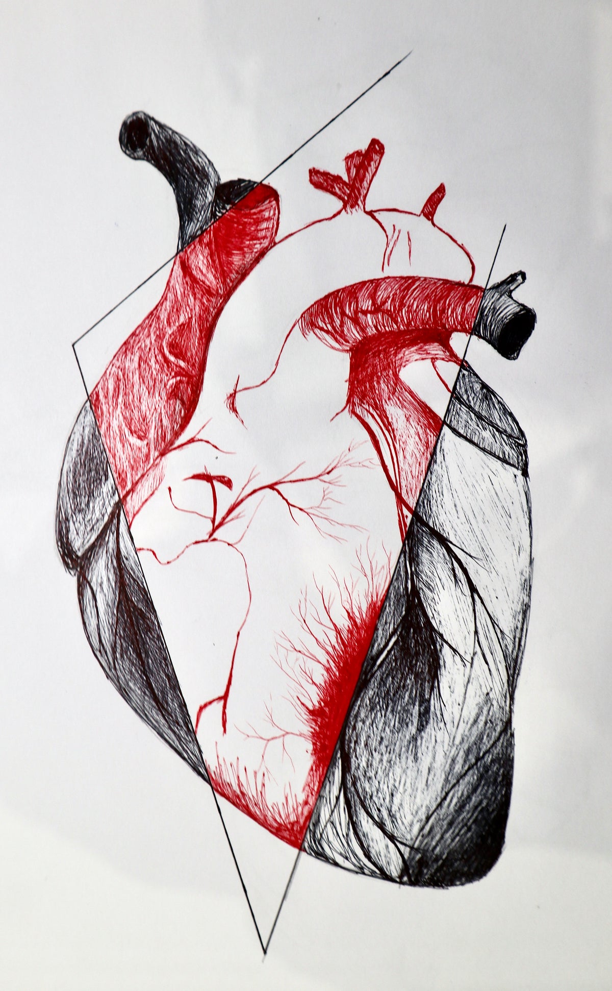 Red and black line drawing of an anatomical heart enclosed by an angular geometric frame