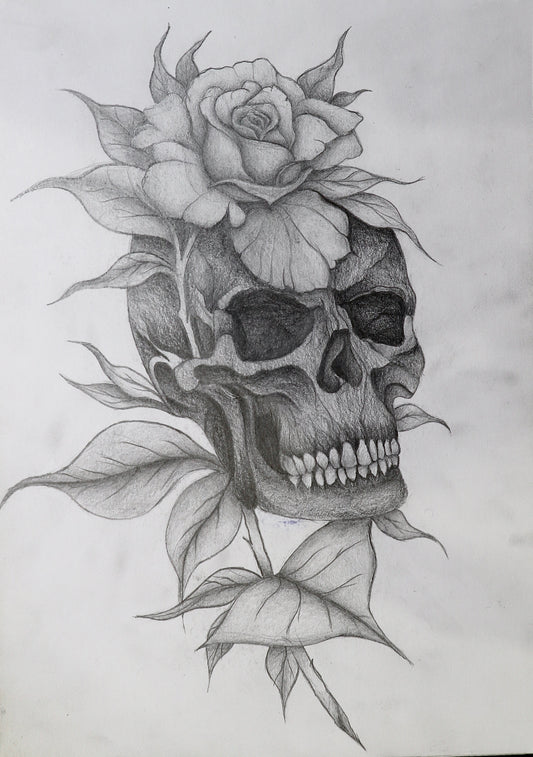 Pencil sketch of a skull topped by a rose with leaves and stems winding around it