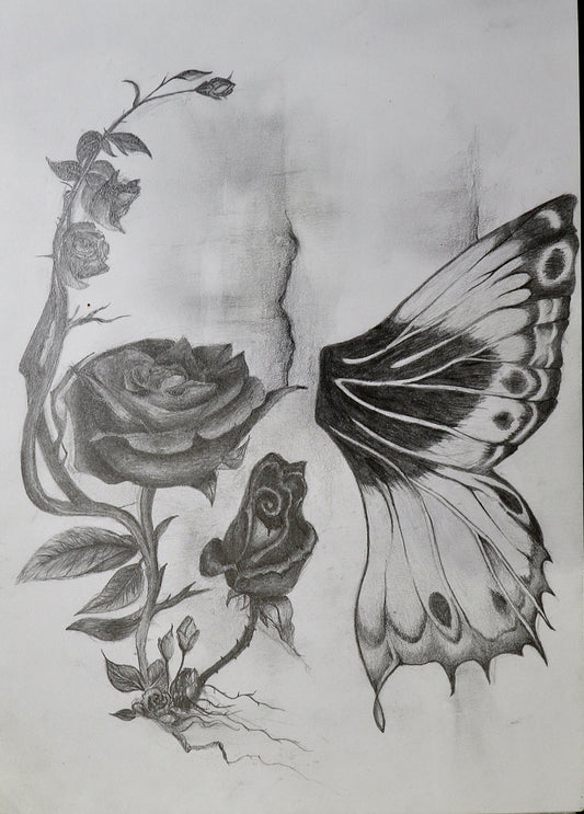 Graphite pencil sketch of a rose, a smaller flower, and a large butterfly wing on sketchbook paper